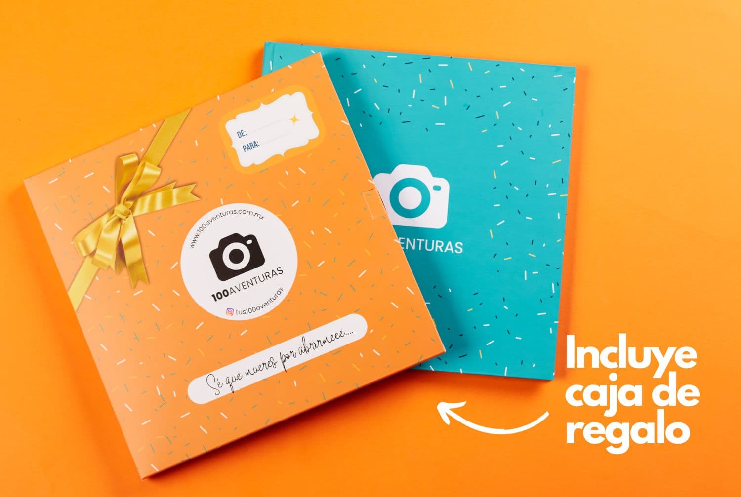 Vista 6